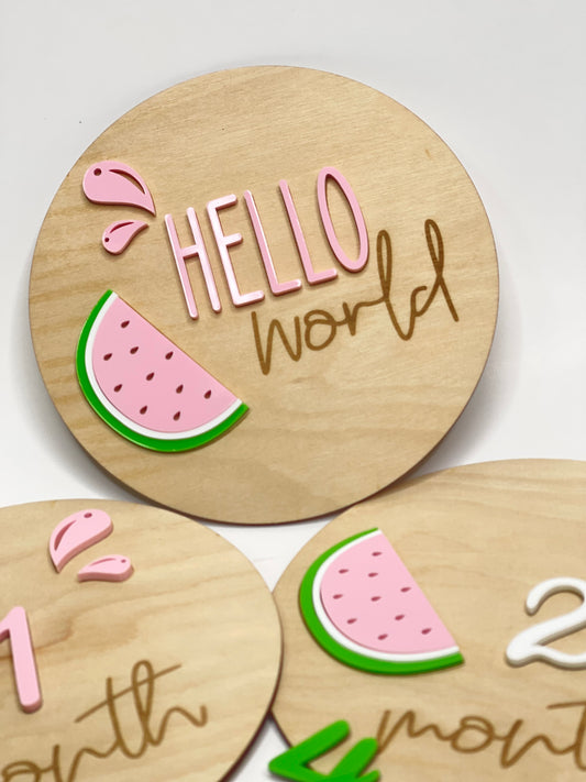 Baby Photo Prop Monthly Milestone Set, Watermelon Baby Milestone Markers